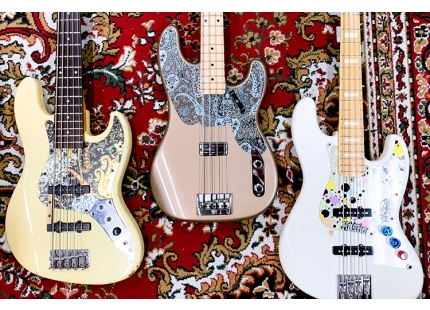 laser-case-badeggbox-guiter-pickguard01