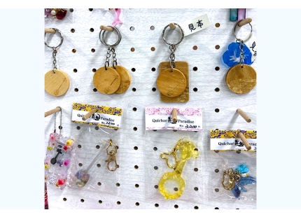 gcc laserpro c180ii application 5