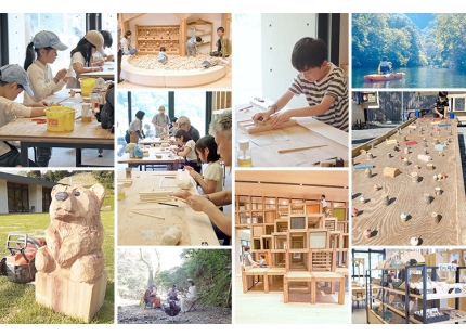 E200S Series Laser Application 6